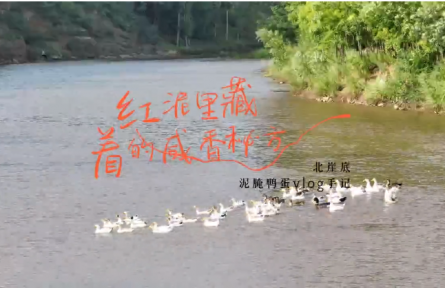 品牌短視頻⑤：紅泥里藏著的咸香秘方
