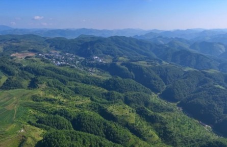 从“石头村”到万亩林 贵州海雀村的绿色蝶变