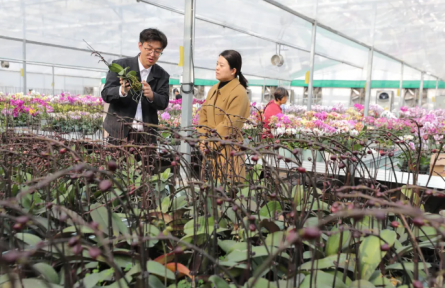 新农人 兴农人|“双料”博士后杨传宝的“花花世界”