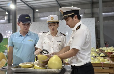 我国新鲜蜜柚首次出口新西兰