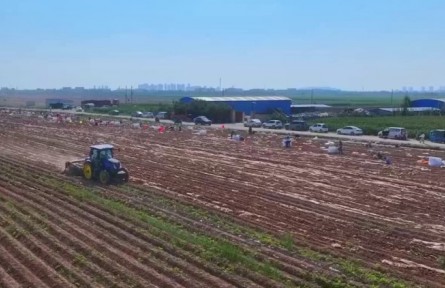 甘肃：丰收时节 特色农产品助力农民增收
