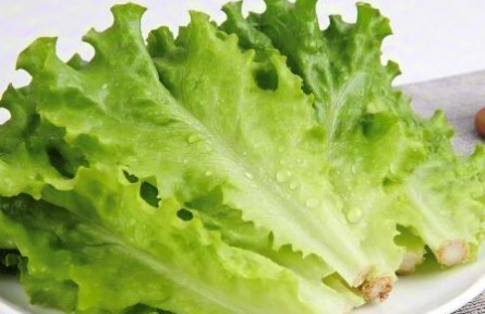 辟谣|生吃生菜真的会感染寄生虫吗？