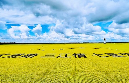 踏上黑土地，真正读懂了“北大荒”