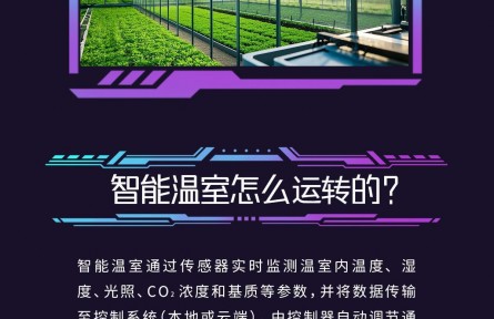 大国粮策|探秘智慧农业——智能温室与植物工厂