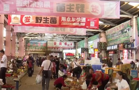 保护生态 科技支撑 做强市场 云南推动食用菌产业高质量发展