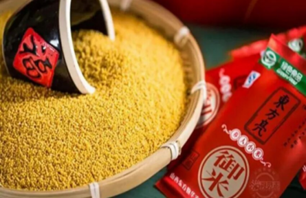 家乡“特”“优”农产品“大学生推荐官”行动|品牌手记㉓：广灵小米“东方亮”品牌成长记