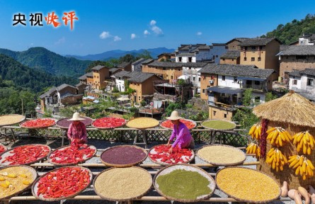 努力建设宜居宜业和美乡村 共同奔向中国式现代化的美好未来