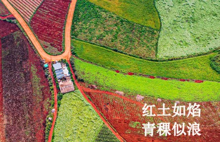 秋分：寻色山河间 揽盈满秋实