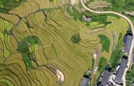 共庆农民丰收节 同建宜居宜业和美乡村