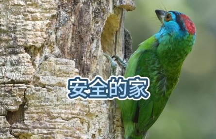 旅游宝藏地！带你解锁中国34个世界生物圈保护区