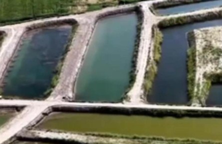 科技助力 新疆荒漠变身“西部大粮仓”
