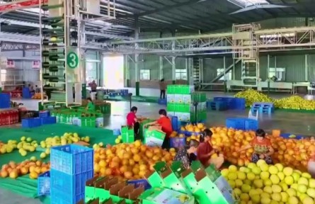 江西：特色产业 绘就富民基础