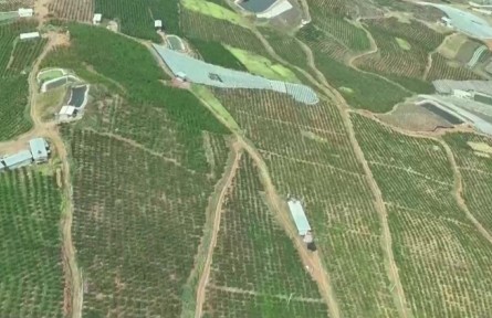 云南：科技破题 绘就云岭好“丰”景