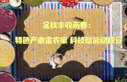 金秋丰收画卷：特色产业富农家 科技赋能稳粮仓
