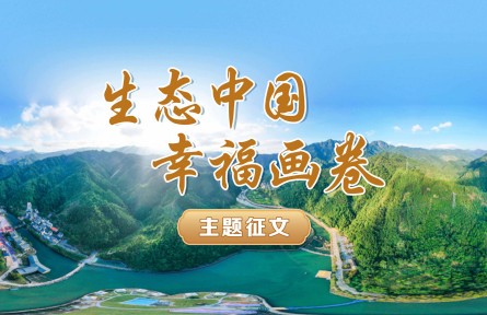 一颗花椒的“有机”逆袭——韩城花椒里的生态答卷（张锡秦）