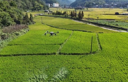 贵州：无人机智慧助农 提高生产效率