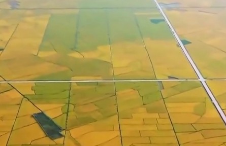 【新思想引领新征程·非凡“十四五”】我国粮食供给保障能力持续增强