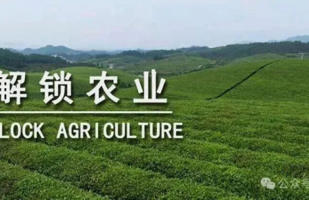 未來十年，中國需要什么樣的農(nóng)業(yè)品牌？｜特稿