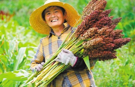 图集|绚丽金秋