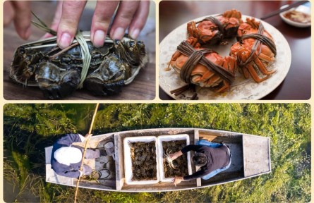 你的秋季时令美食图鉴已更新