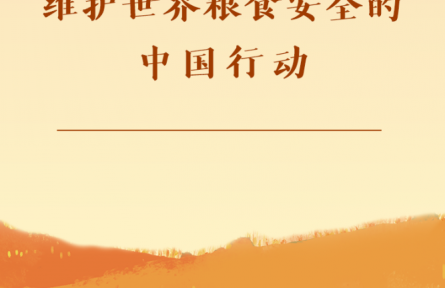 第一观察|维护世界粮食安全的中国行动