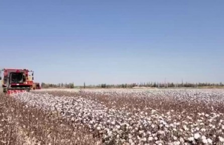 甘肃：智慧农业绘就沃野好“丰”景