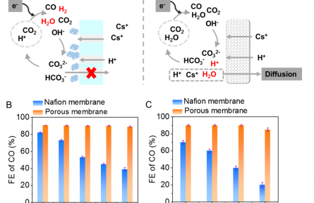 资源化利用二氧化碳有了新“膜”法
