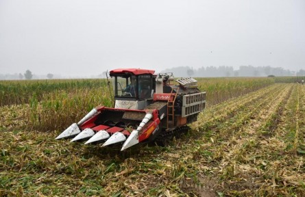 如何打好秋收秋种这场硬仗?