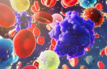 科技名詞|循環(huán)腫瘤細胞 circulating tumor cell；CTC