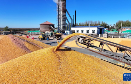 霜降时节农事忙