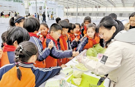 河北:鲜食蔬菜“争宠” 餐桌绿意更浓