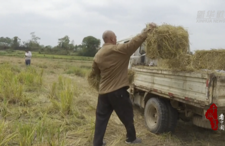 湖南祁阳:“生态循环”激活乡村振兴“双赢路”