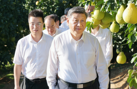 一见·柚子里的“三农”情怀