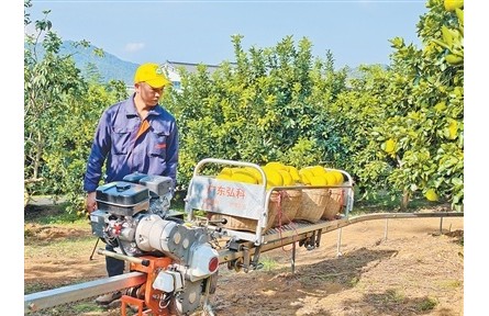 广东梅州梅县区南福村延伸金柚产业链，推动农文旅融合——柚农从一季卖果到四季有进项