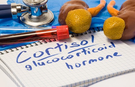 科技名词|糖皮质激素 glucocorticoid；glucocorticosteroid