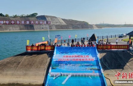 广西大藤峡工程累计放流近2000万尾鱼苗 保护珠江流域生物多样性