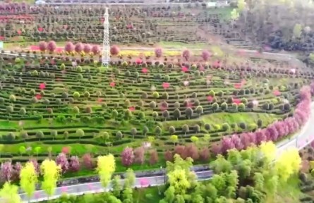 我国现代农业产业园总产值超3万亿元