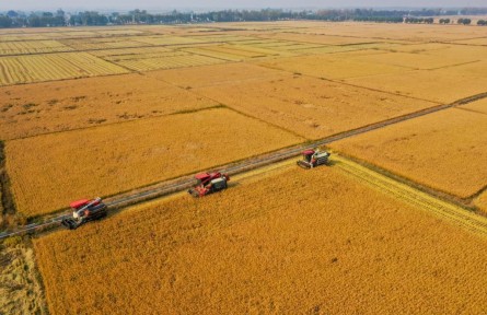 增肥黑土地 筑牢大粮仓——吉林加强黑土地保护一线观察