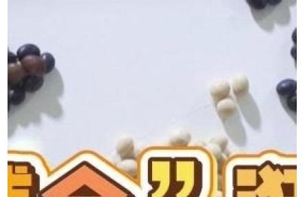 “豆博会”逛起来 大豆增产超有料