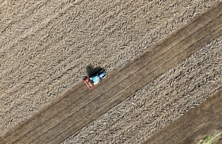 记者手记：晚播晚种，会影响“中原粮仓”明年夏收吗？