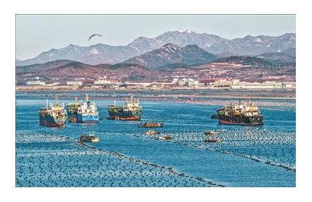 山东荣成：鲍鱼南下转场进行时