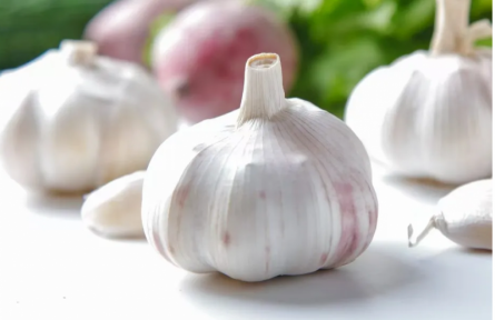 家乡特优农产品大学生推荐官 | 品牌手记㊴：金乡大蒜里的匠心传承与产业新生