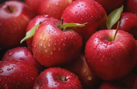 家乡特优农产品“大学生推荐官”行动 | 品牌手记㊶：临猗—“苹”添幸福的密码