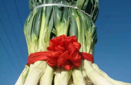 家乡特优农产品大学生推荐官 | 品牌智库建议⑦：泽州巴公的金葱之路