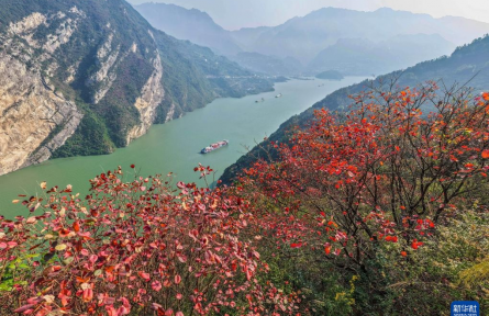 裁取冬色入画框