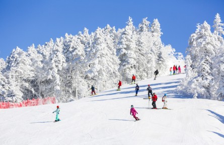 新雪季来吉林看什么?“国际大赛+全民冰雪”的双向开嗨!