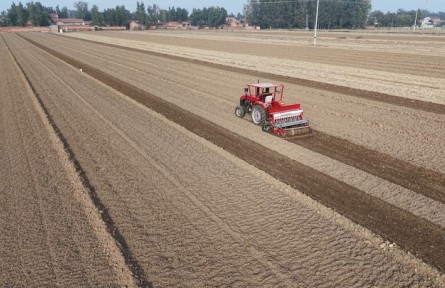 今冬不放松,来年“丰”可期——多地冬种及田间管护见闻