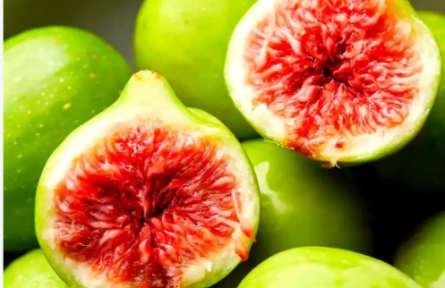 山东威海:山海之间的“糖包子”——无花果