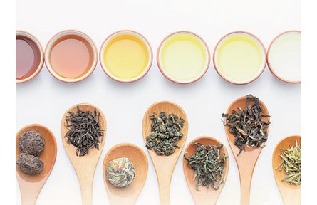 六大茶类有何区别？如何品味不同的茶？