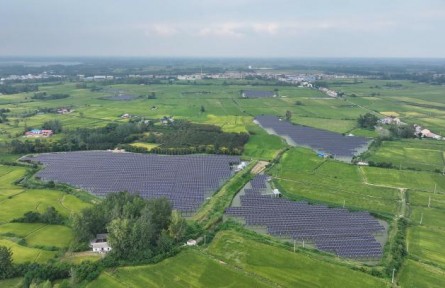 “渔”光互补养出“致富蟹”